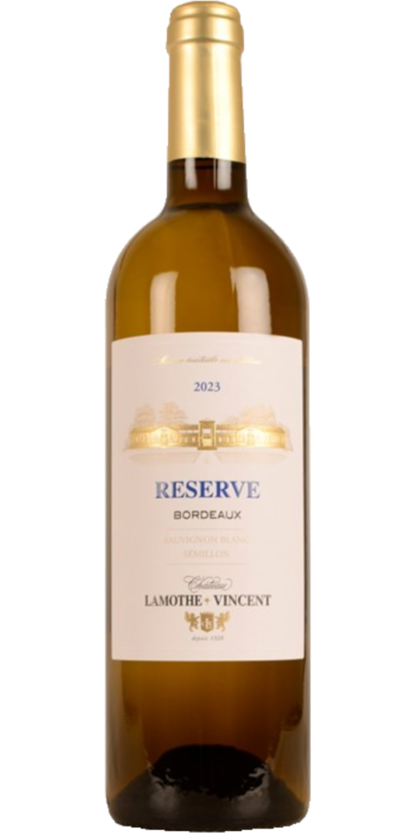 Chateau Lamothe Vincent Sauvignon Blanc