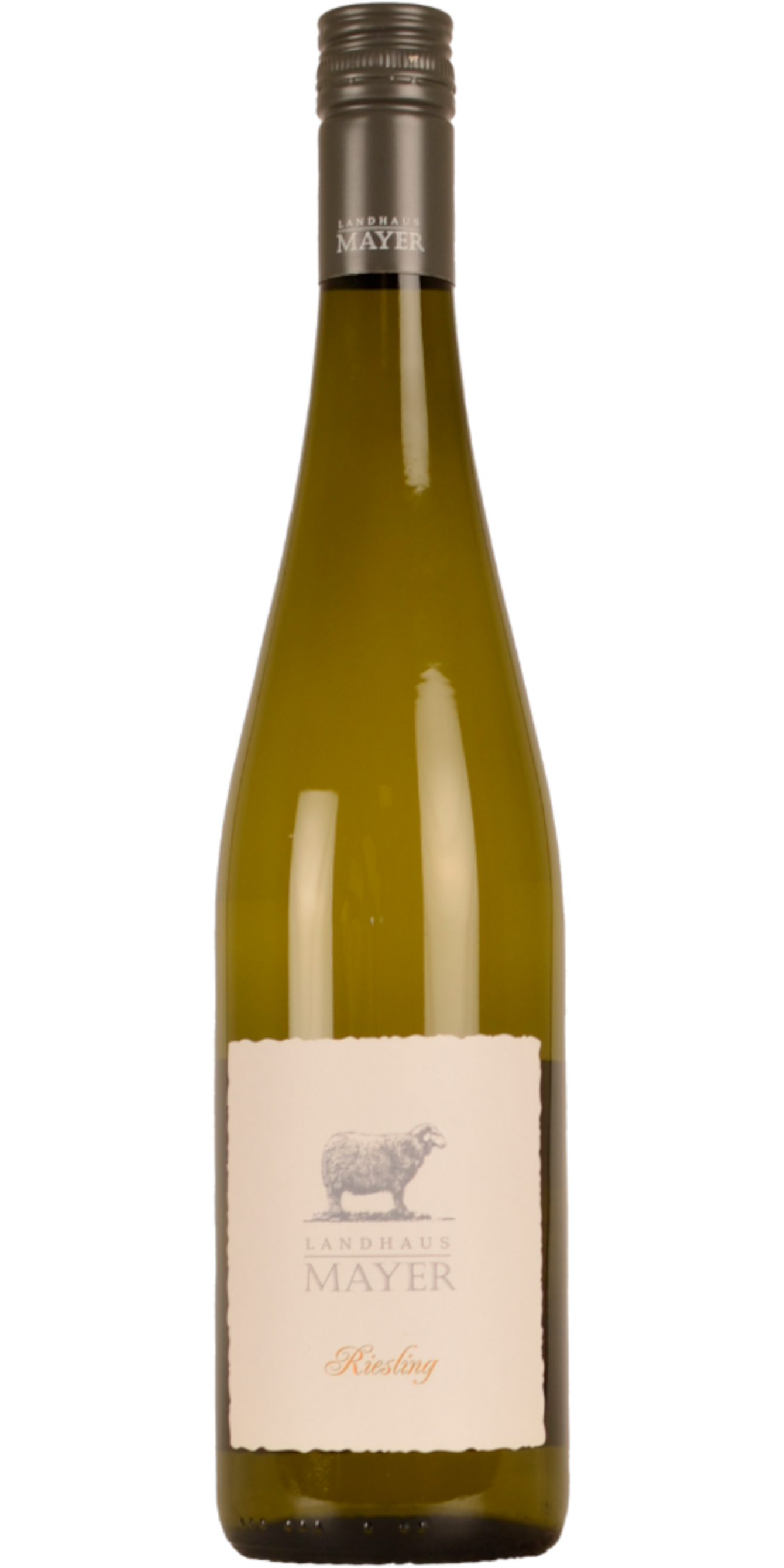 Landhaus Mayer Riesling