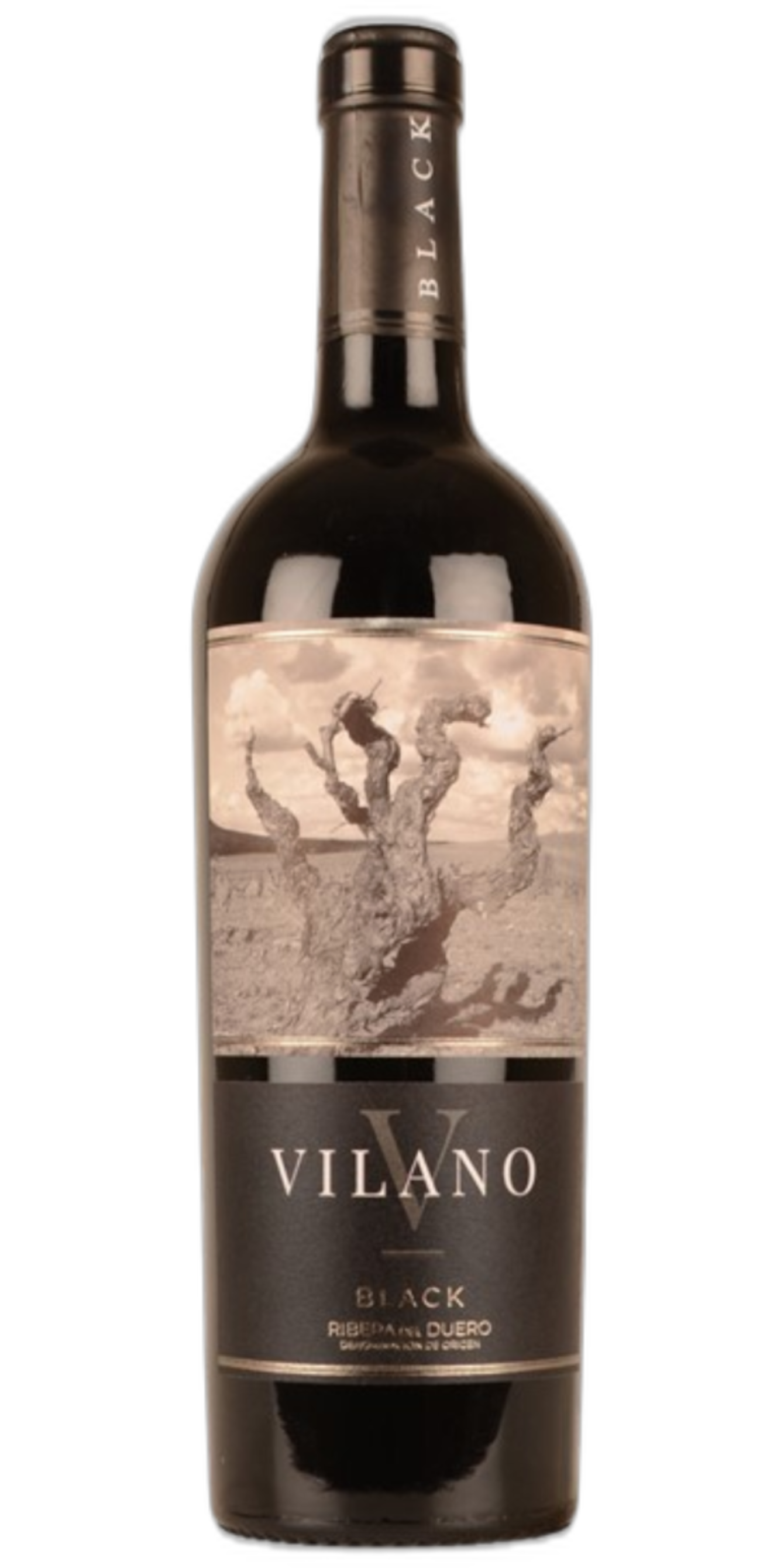 Bodegas Viña Vilano Roble Black