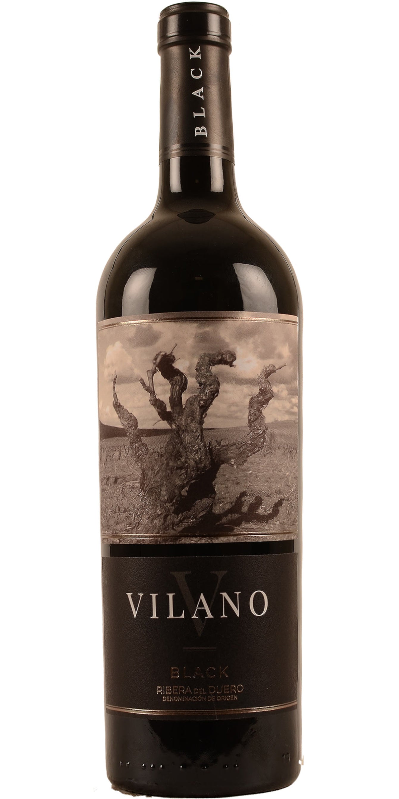 Bodegas Viña Vilano Roble Black