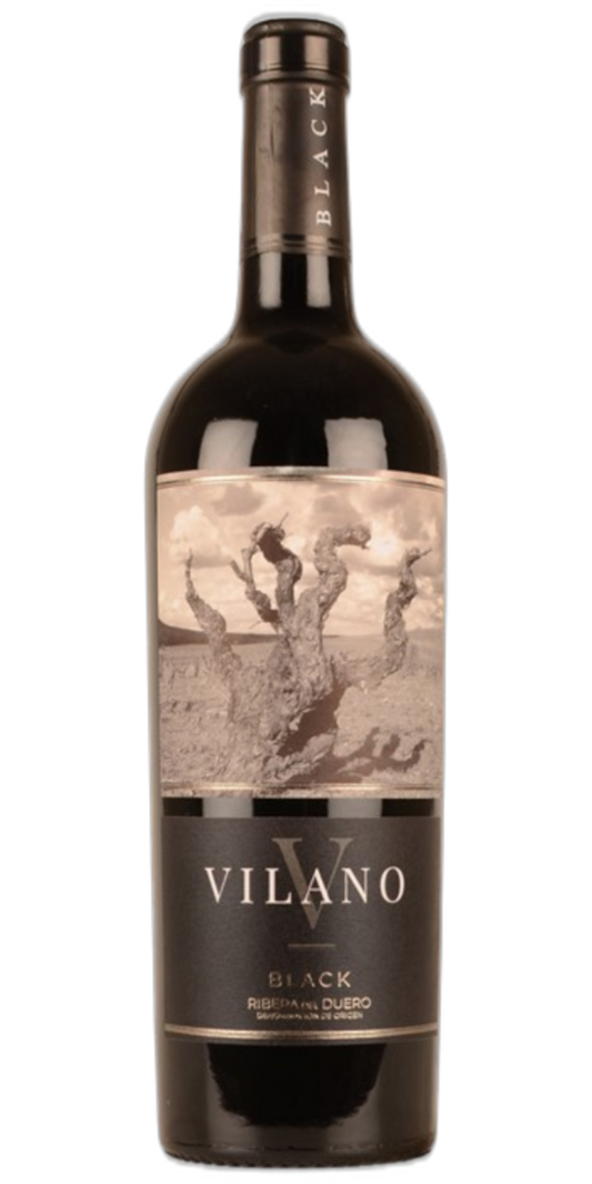 Bodegas Viña Vilano Roble Black