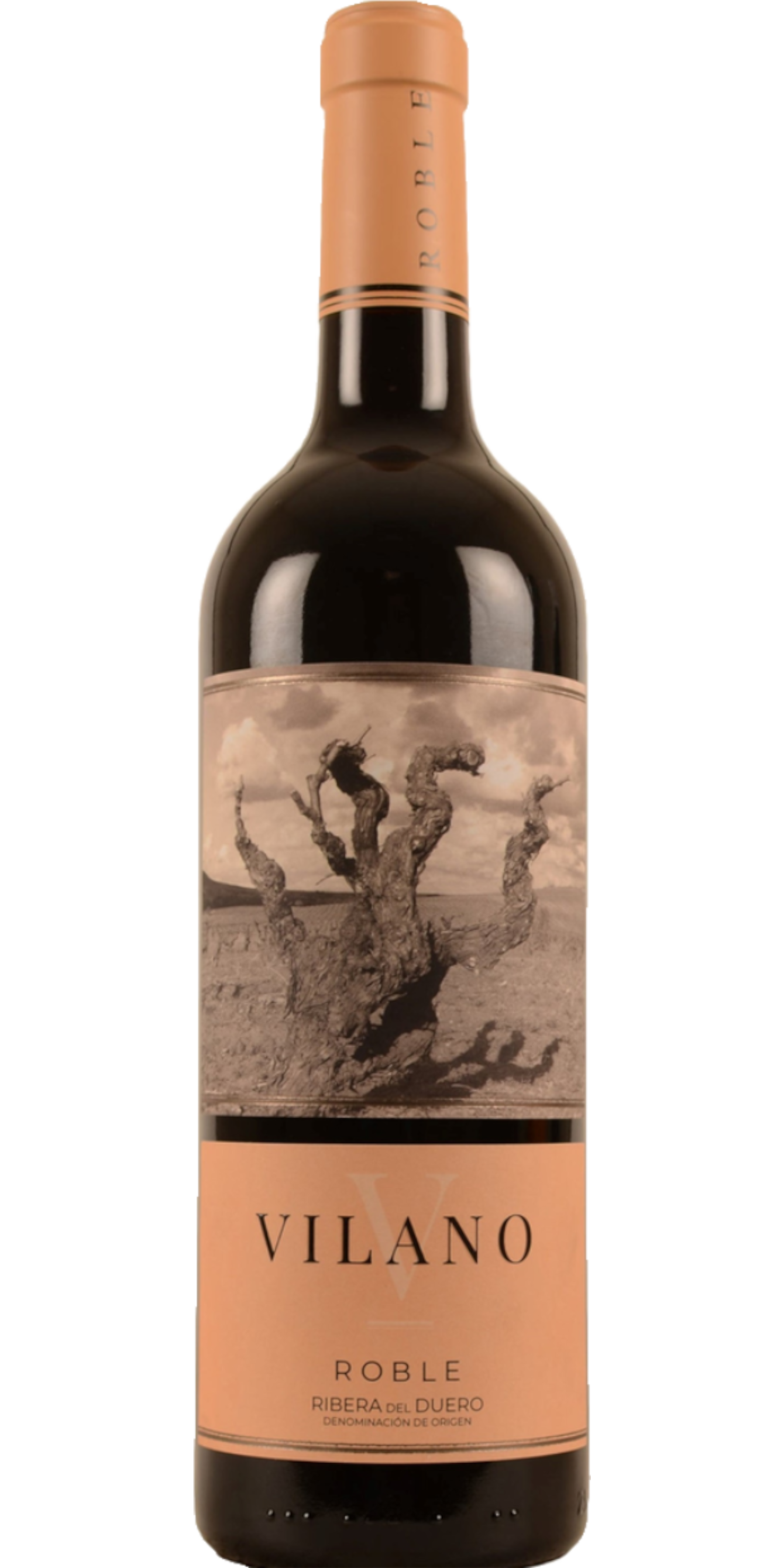 Bodegas Viña Vilano Roble Tempranillo