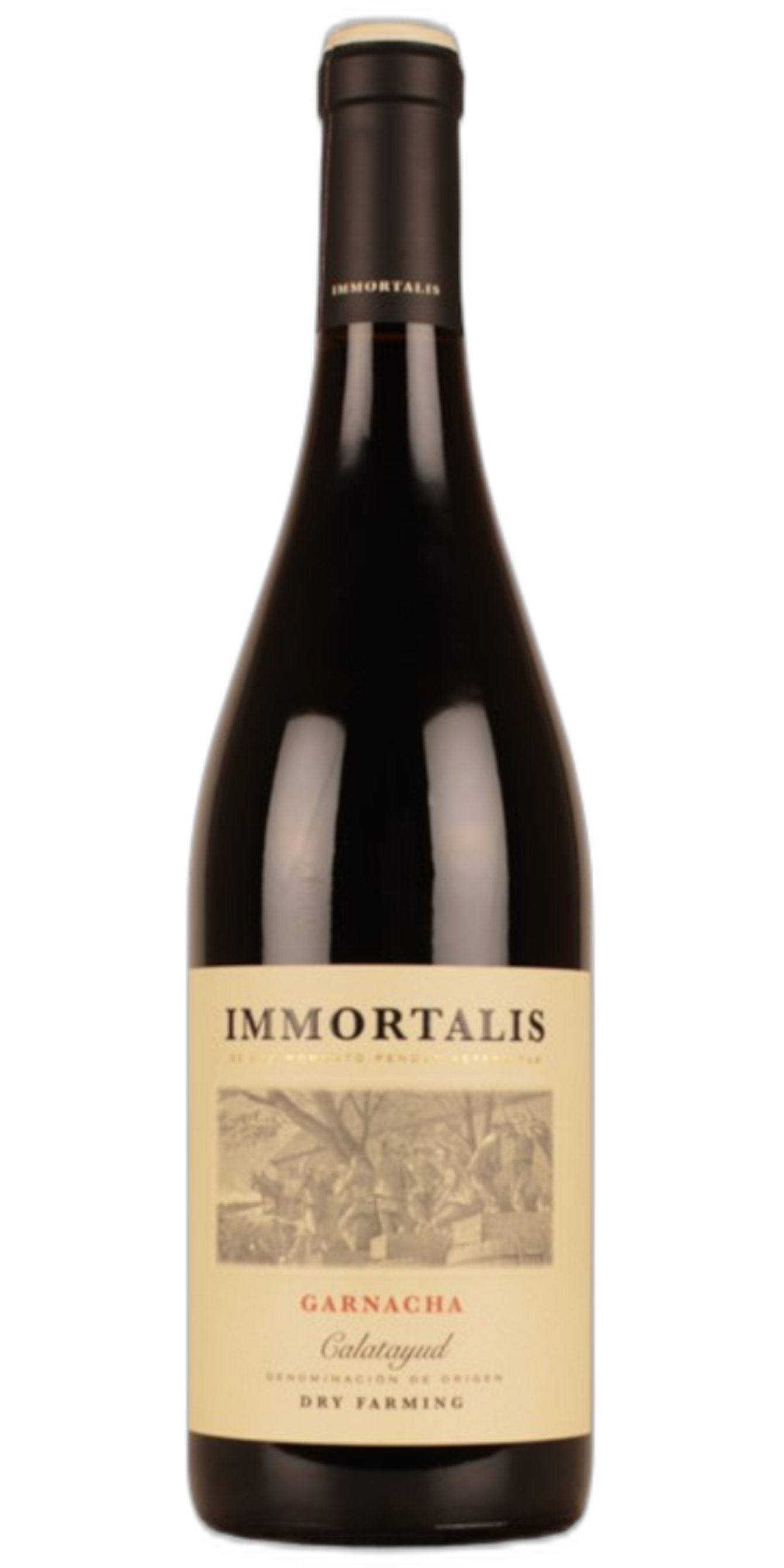 Immortalis Garnacha Tinto