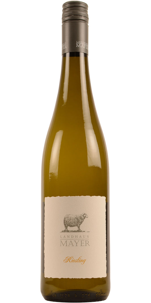 Landhaus Mayer Riesling